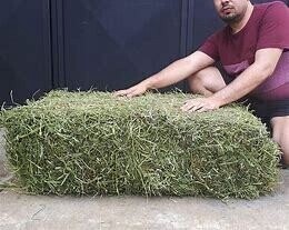 Heno, Peso: 20 KG