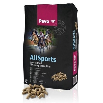 Pavo AllSports