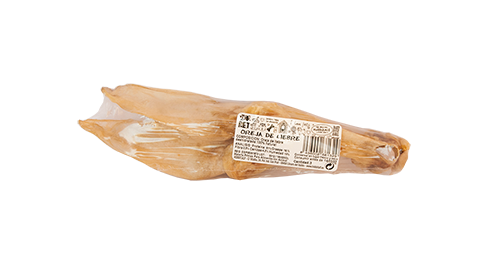 OREJA DE LIEBRE