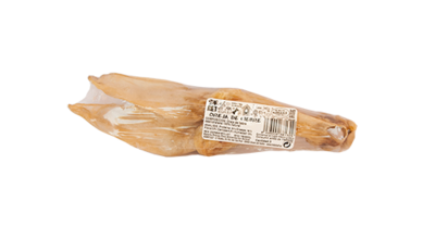OREJA DE LIEBRE