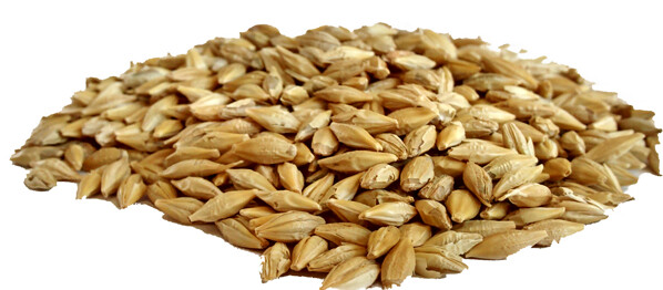 CEBADA (Saco 30 Kg), Peso: 30 kg