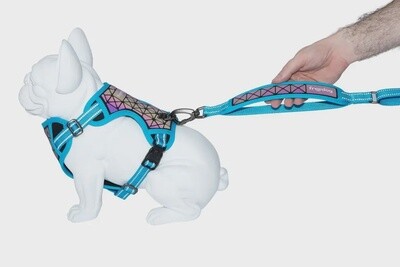 Arnés Freedog Boreal azul capri