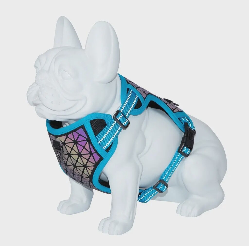 Arnés Freedog Boreal azul capri, MEDIDA: 15mm Cuello 32-48cm Pecho