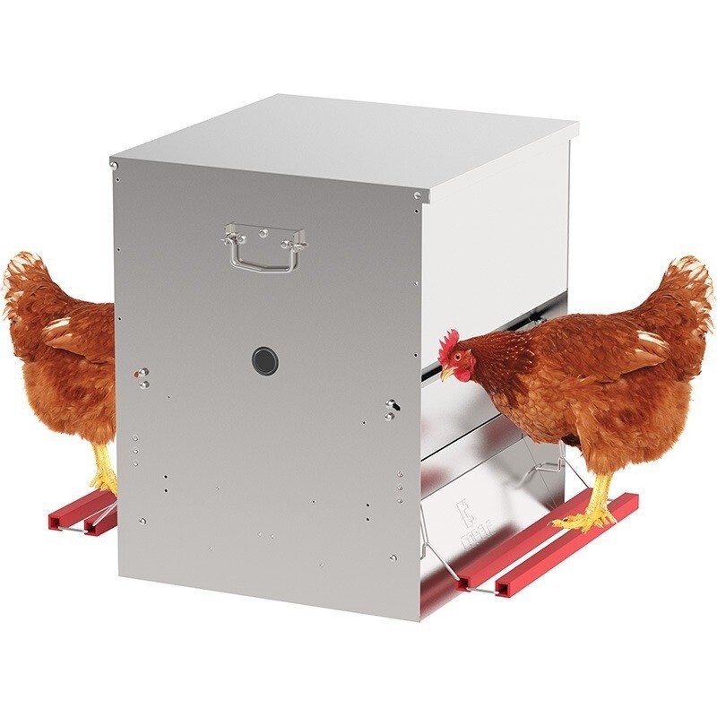 Comedero para gallinas &quot;Safeed&quot; a dos caras