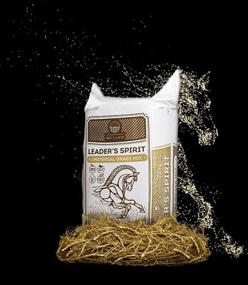 HENO LEADER´S SPIRIT UNIVERSAL