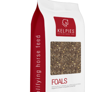 KELPIES