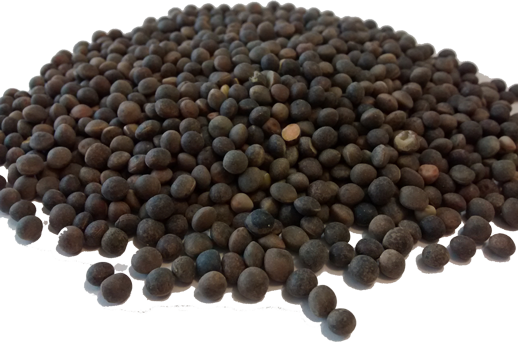 VEZA (Saco de 30 kg), Peso: 30 kg
