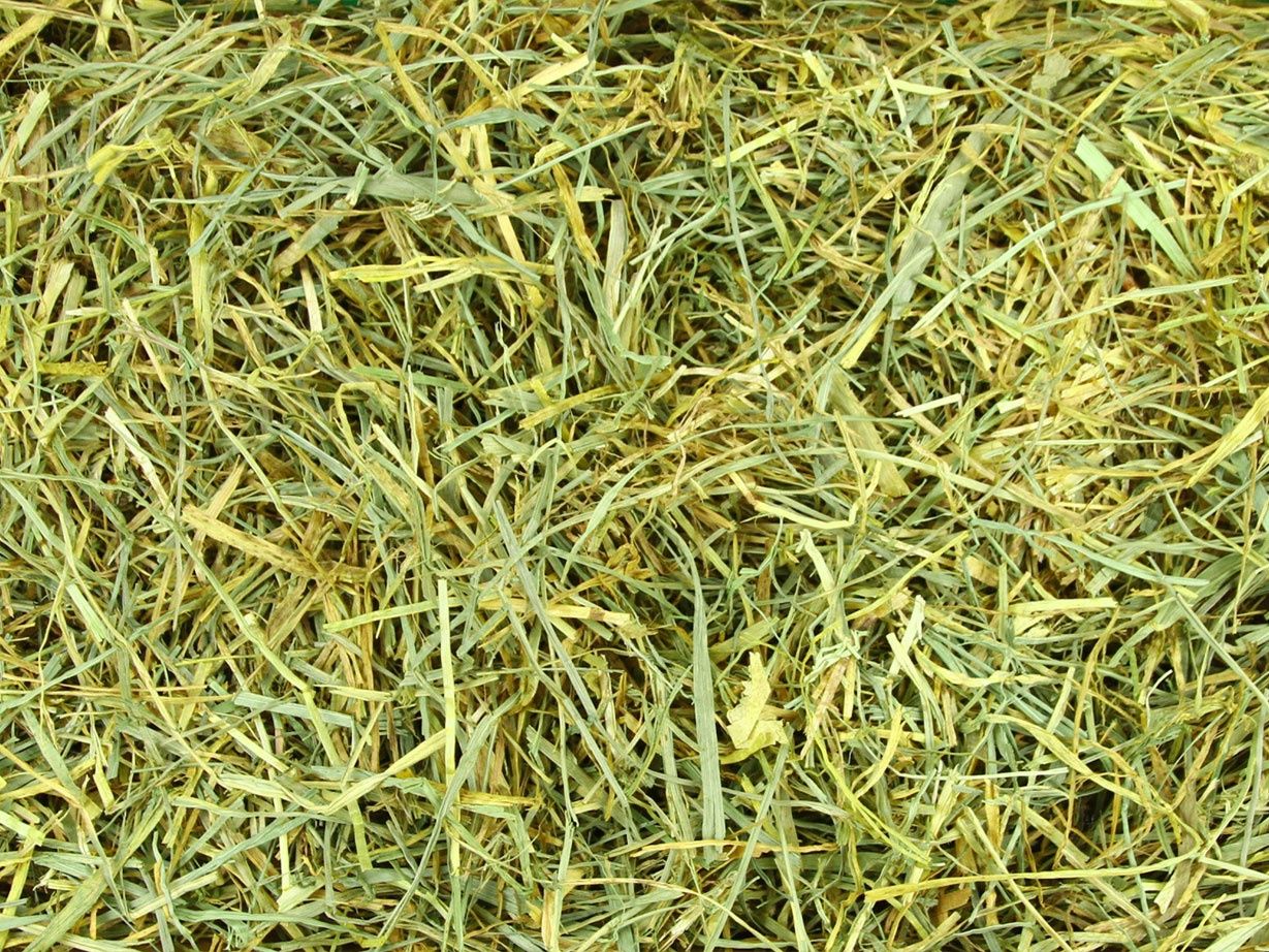 PAQUETE FESTUCA DOBLE PRESION 27 KG