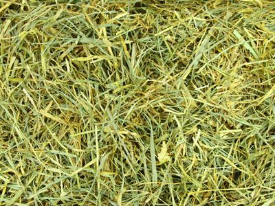PAQUETE FESTUCA DOBLE PRESION 27 KG