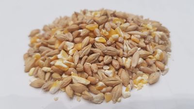 MEZCLA NATURAL GALLINAS (saco 30 kg)