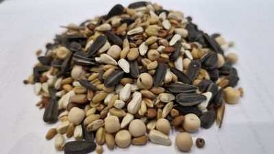 PERDIZ STANDARD 25 KG