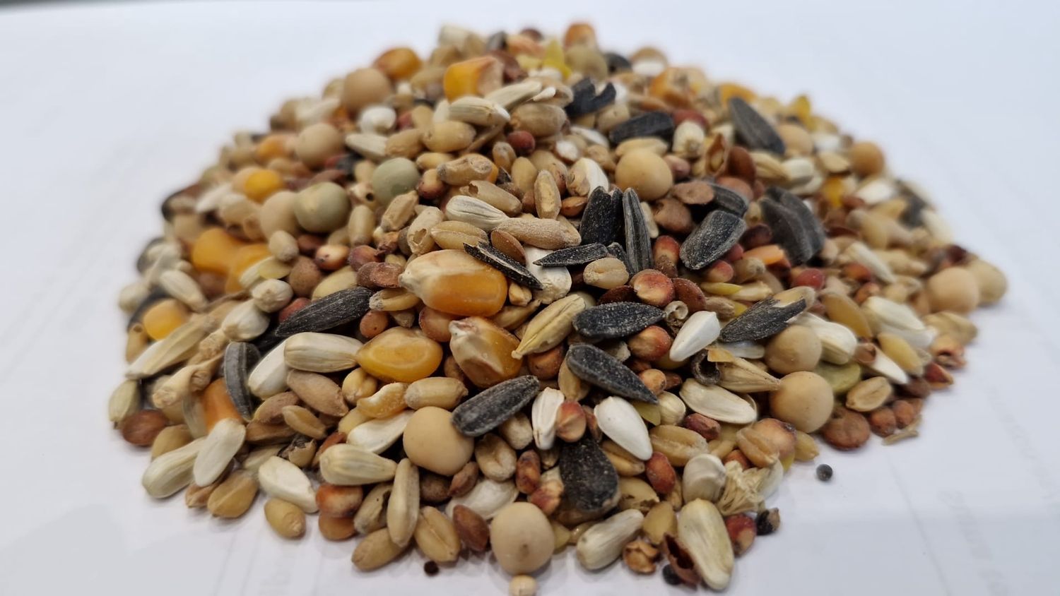 ALIMENTO PALOMAS STANDARD CON MAIZ 25 KG