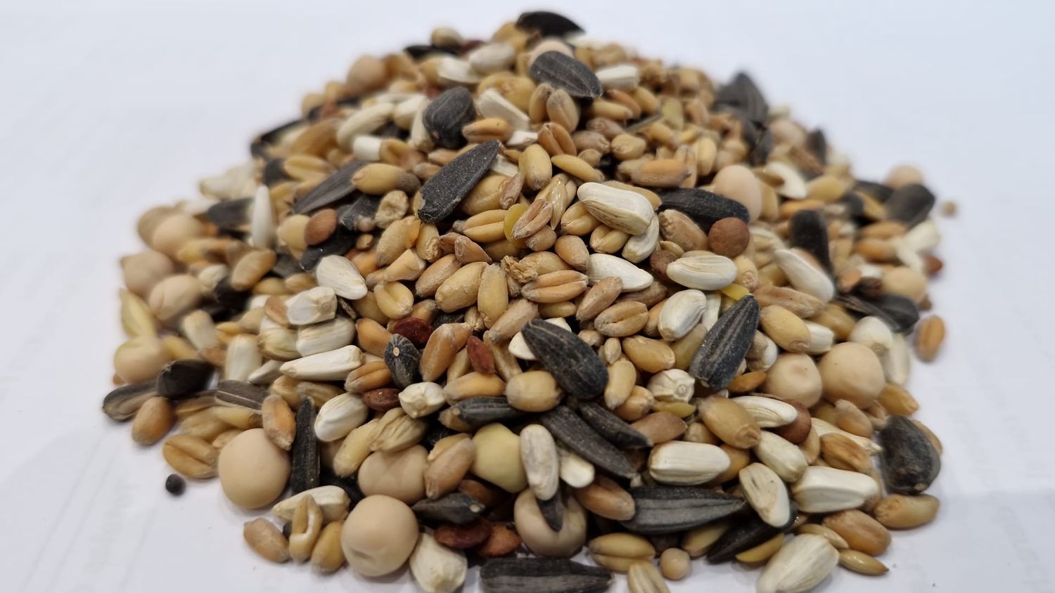 ALIMENTO PALOMOS STANDARD SIN MAIZ 25 KG