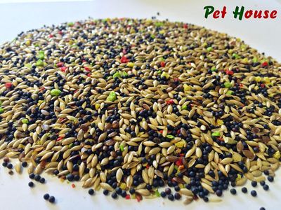 ALIMENTO CANARIOS 25 KG SIN AVENA