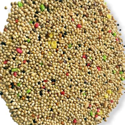 ALIMENTO PERIQUITOS Y EXOTICOS NATURAL 5KG