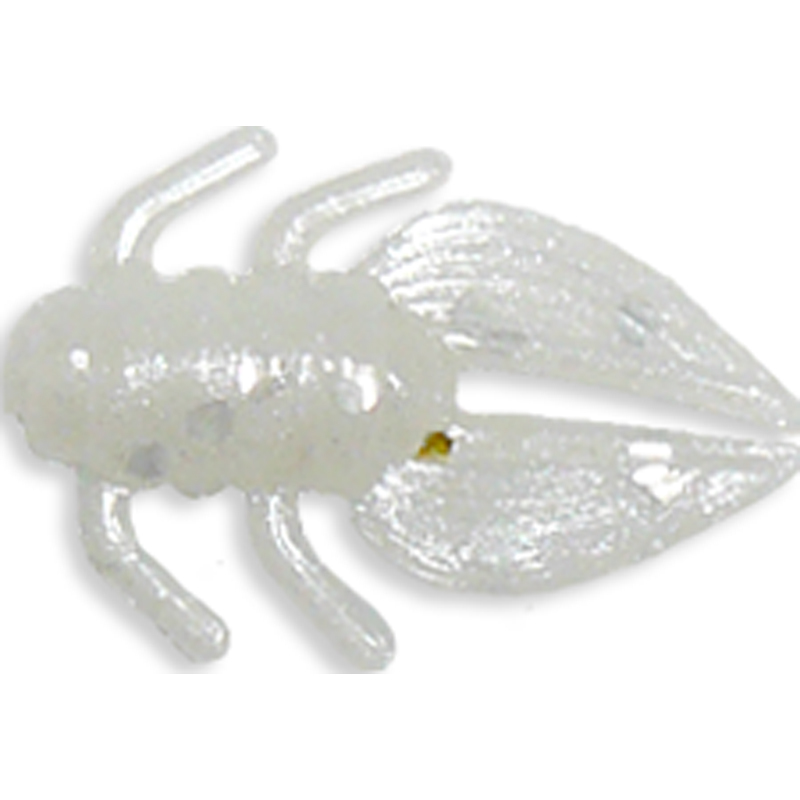 Gizzy Bug - Predator
