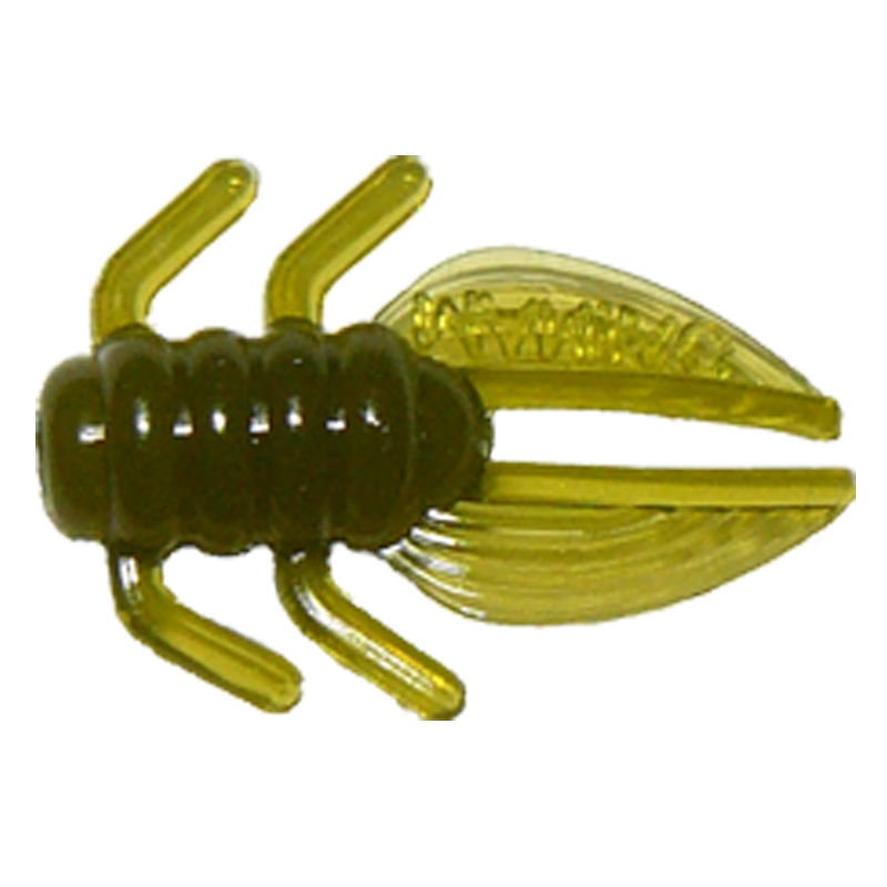 Gizzy Bug - Old Ugly