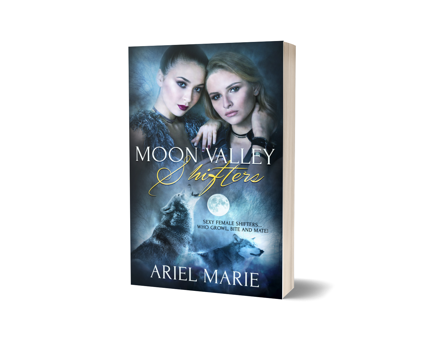 Moon Valley Shifters