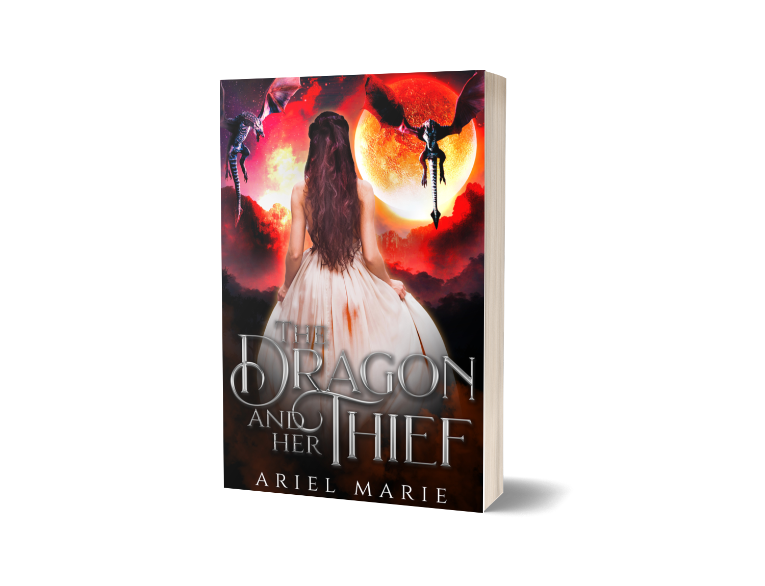 The Dragon and Her Thief