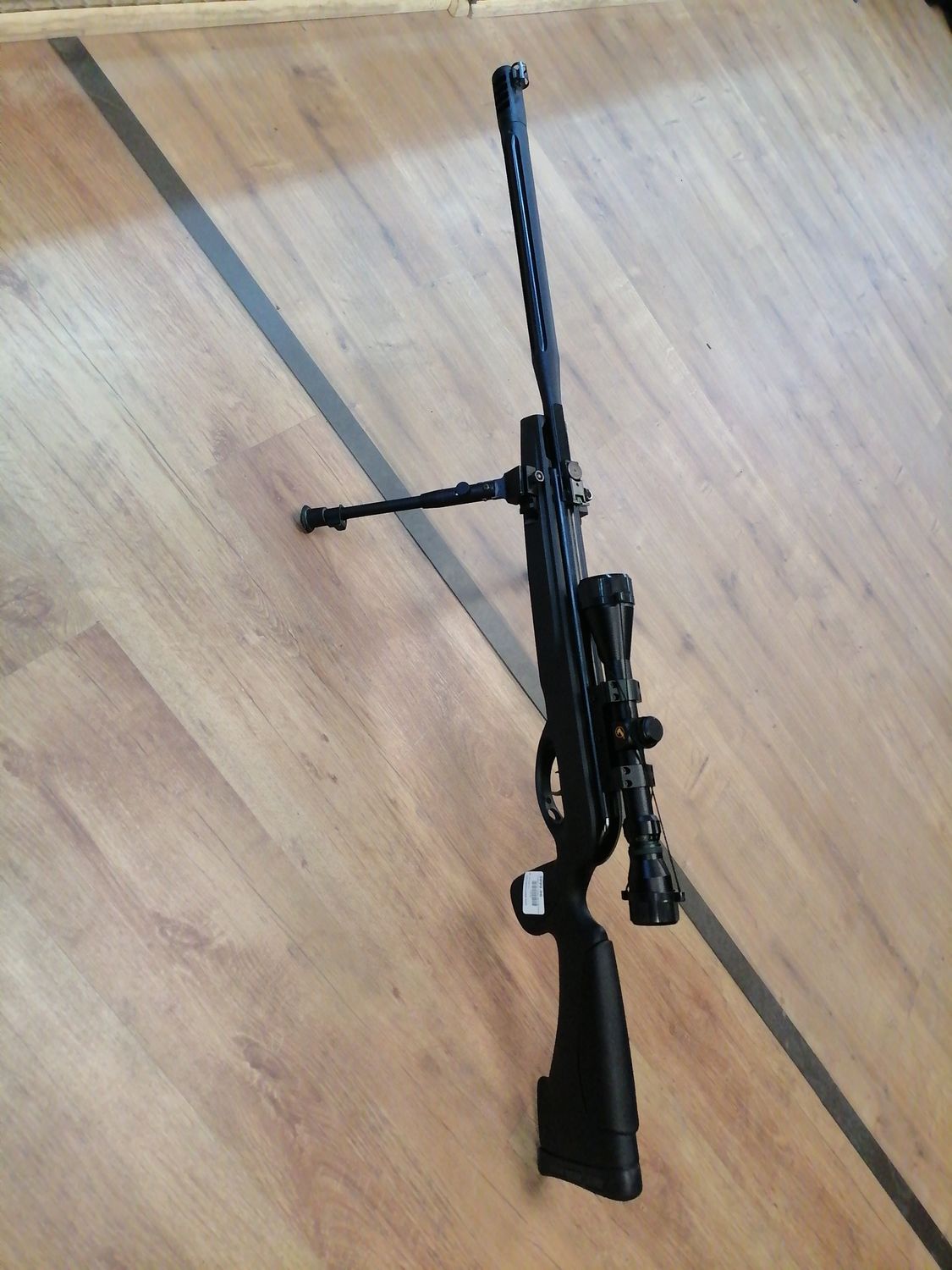 Gamo air rifle