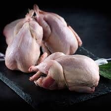 VIANDE DE CAILLE