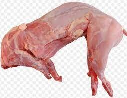 CARCASSE DE LAPIN