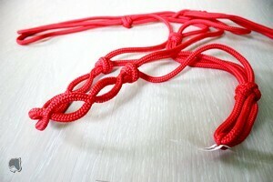 Licol  étho &#39;&#39;Kiona&#39;&#39;© - COB - Rouge