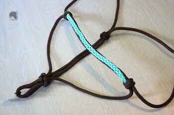 Licol étho avec tresse