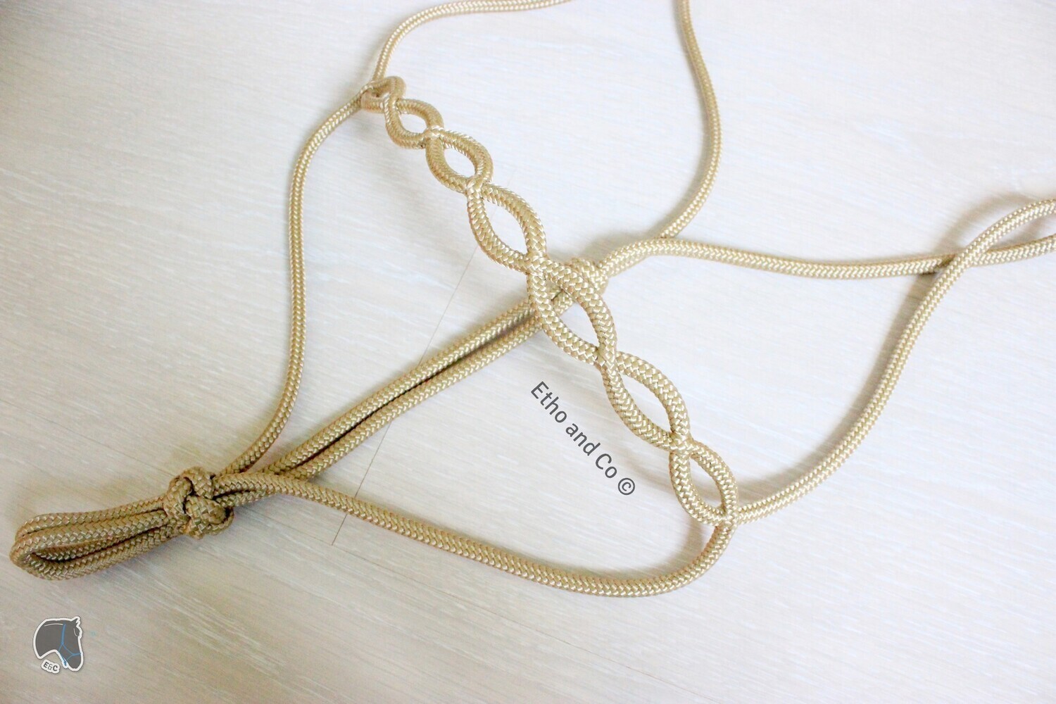 Licol &#39;&#39;Kiona&#39;&#39; ©