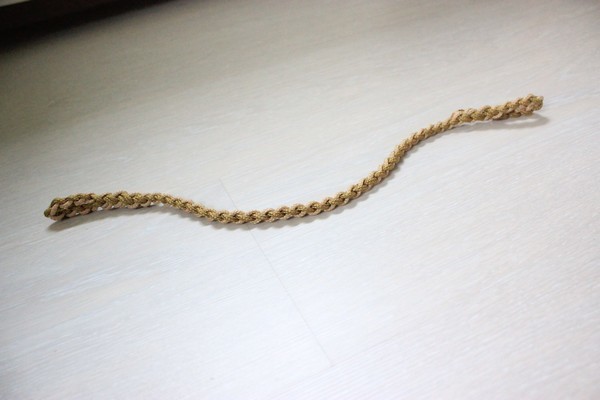 Frontal tressé (4 brins)