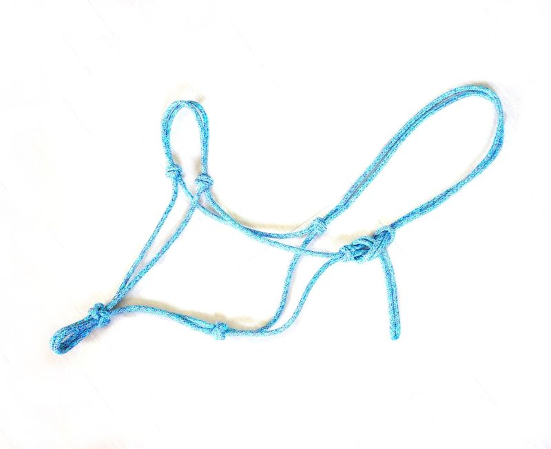 Licol éthologique
