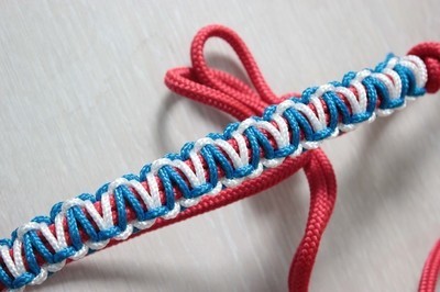 Licol étho tressage Vice-versa