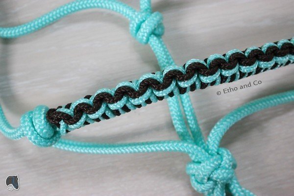 Licol étho tressage Vagues