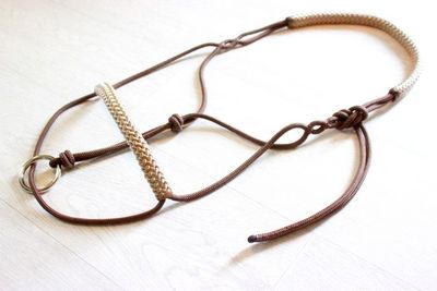 Licol de longe  - COB - brun &amp; champagne