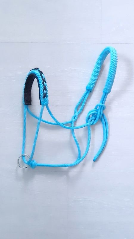 Licol de longe  - Shet - Motif Meïka CONFORT