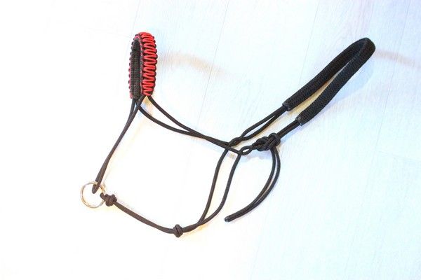 Licol de longe avec Tressage (au choix)