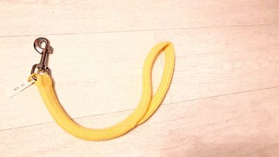 Laisse épaisse (14⌀) courte 