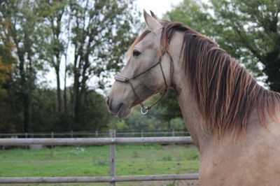 Prêts à l&#39;envoi