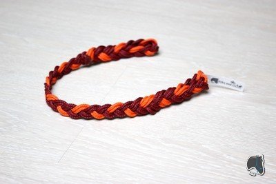 Frontal tressé (6 brins)