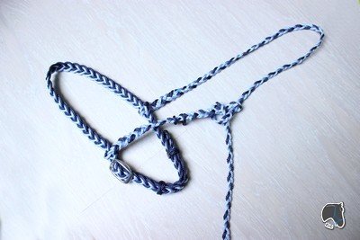 Muserolle française tressée plate