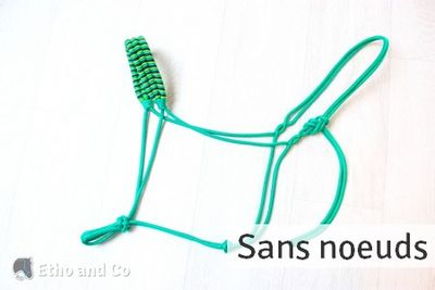 Option de licol : Sans noeuds