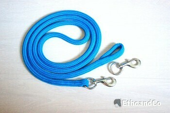 Longe double usage  (longe / rênes)