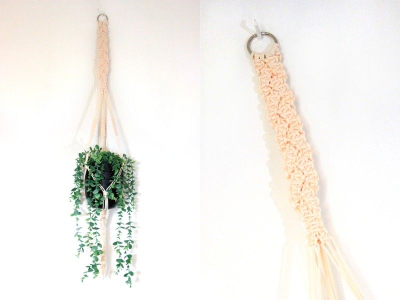 [ Nivalys ] Suspension pour plantes