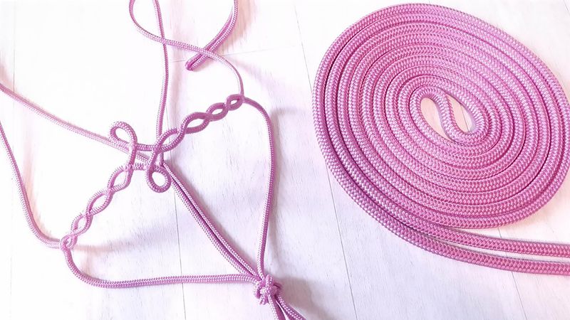 Licol ''Adsila'' © - CHEVAL- Rose poudré