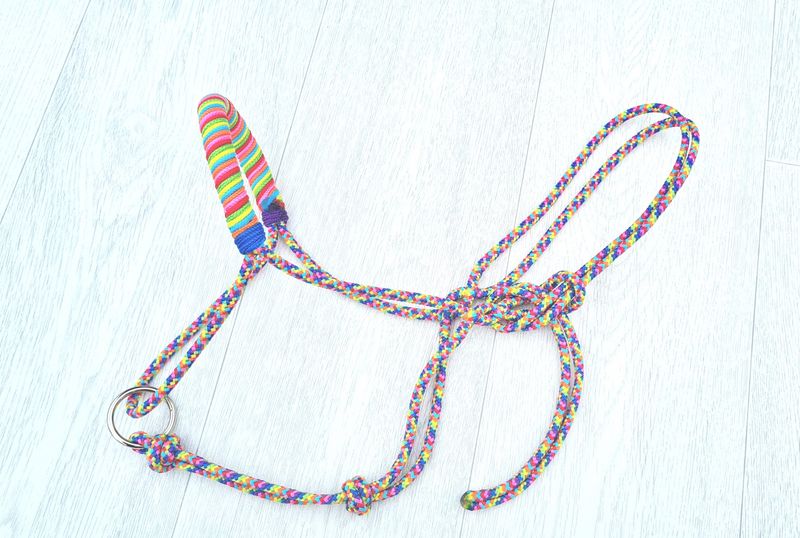 Licol de longe  - MINI - arc-en-ciel  tressage Rond