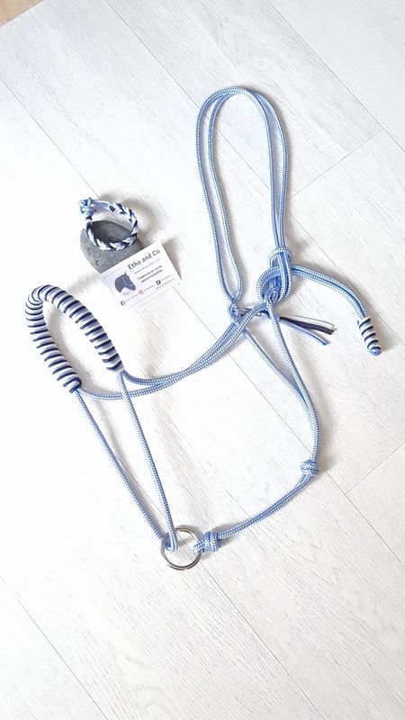 Licol de longe  - COB - bleu-gris tressage ROND large