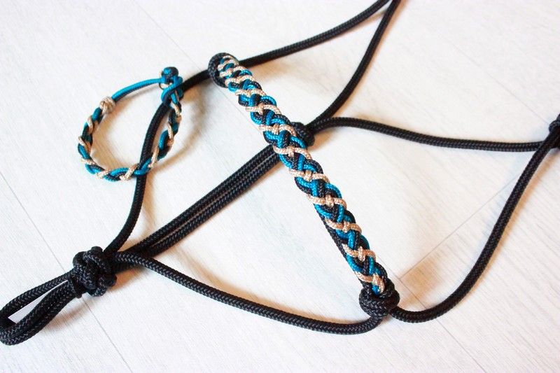 Licol étho avec tresse Celtique