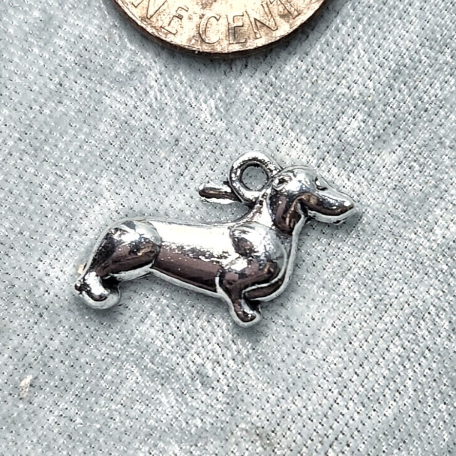 Dachshund