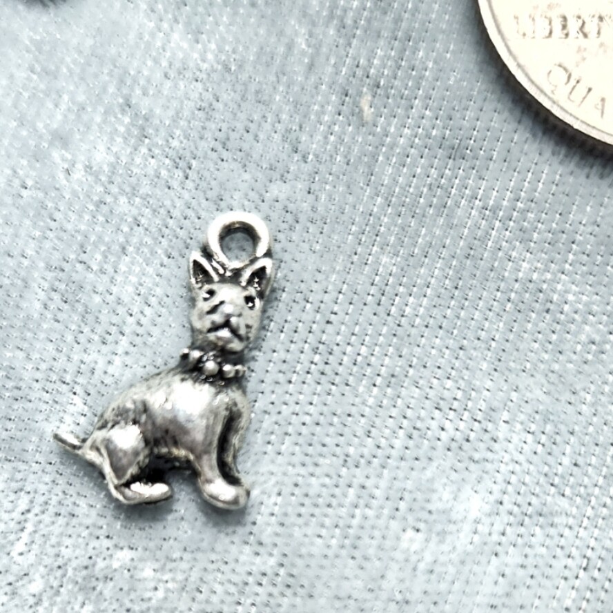 Terrier