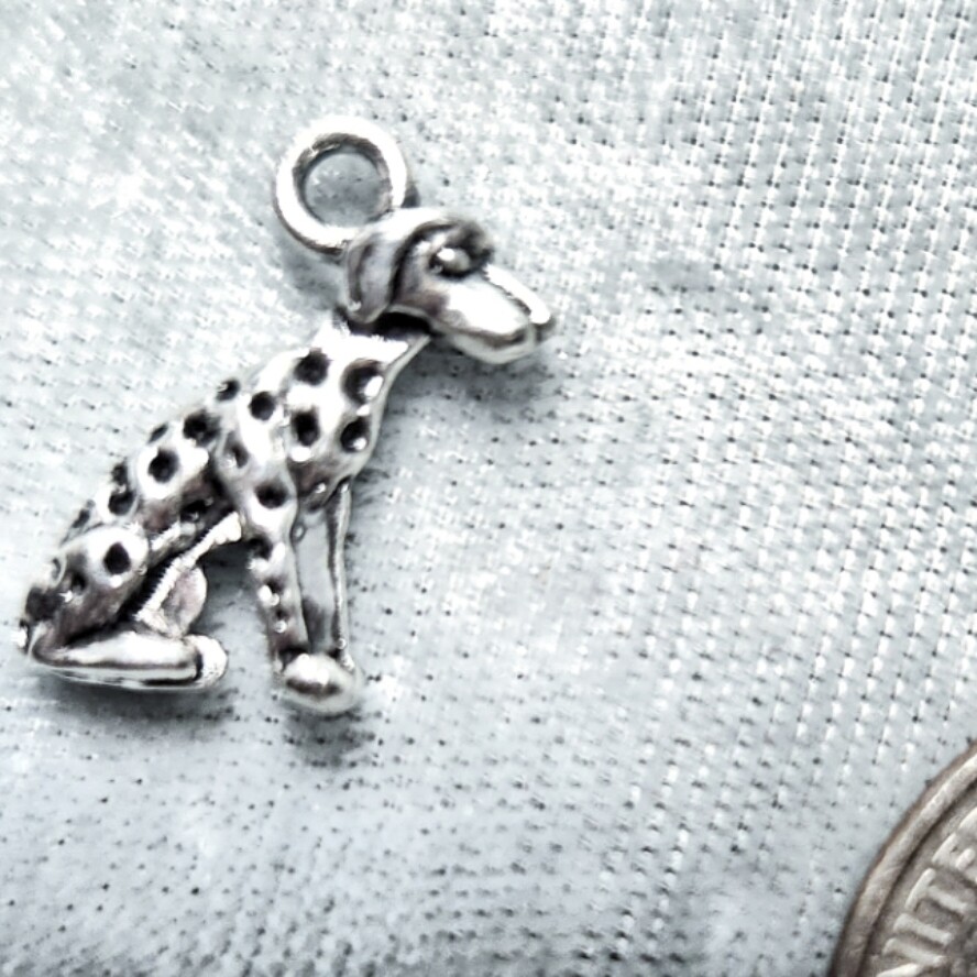 Dalmatian